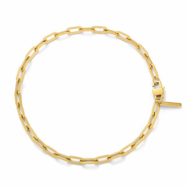 Gold Chain REX 6 1